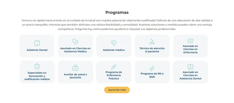 Sección "Programas" de la home en desktop: párrafo introductorio y una grilla de diez tarjetas iguales con icono y nombre del programa, y el botón "Aprende más".