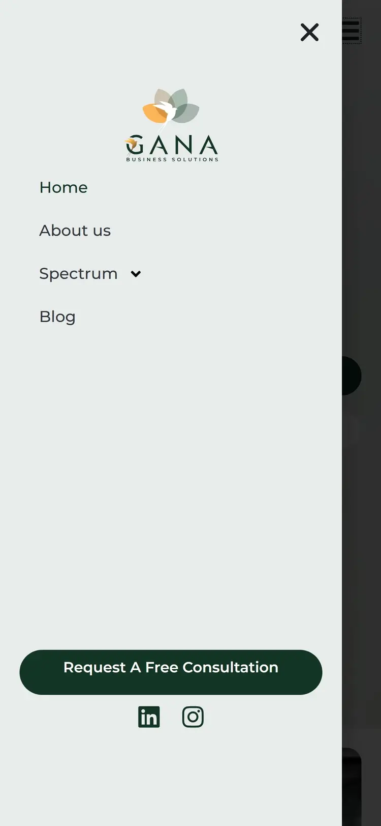 Menú móvil abierto como panel lateral: Home, About us, Spectrum con flecha y Blog; al pie, el botón "Request A Free Consultation" y los iconos de LinkedIn e Instagram.