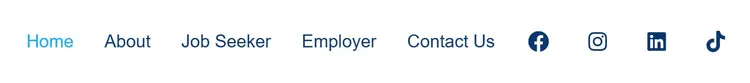 Menú de desktop de HireHealth: Home resaltado en azul, About, Job Seeker, Employer y Contact Us, seguidos de los iconos de Facebook, Instagram, LinkedIn y TikTok.
